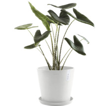 Blumentopf Ecopots Amsterdam Kunststoff Ø 27,3 cm 30 x 30 x 25,4 cm weiß