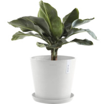 Blumentopf Ecopots Amsterdam Kunststoff Ø 27,3 cm 30 x 30 x 25,4 cm weiß