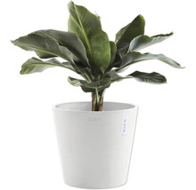 Blumentopf Ecopots Kunststoff Ø 38 cm 40 x 40 x 34,5 cm weiß