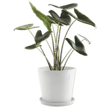 Blumentopf Ecopots Kunststoff Ø 38 cm 40 x 40 x 34,5 cm weiß