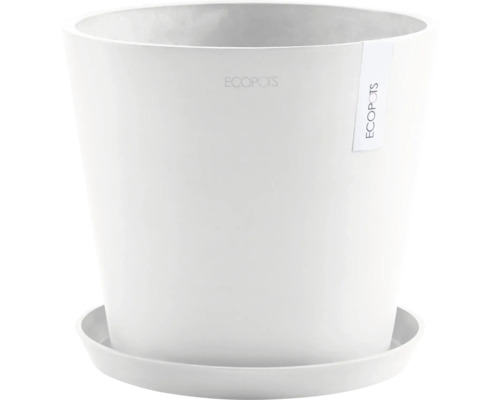 Blumentopf mit Untersetzer