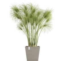 Blumentopf Ecopots Rotterdam Kunststoff Ø 23 cm 25 x 25 x 24,6 cm braun