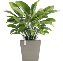 Blumentopf Ecopots Rotterdam Kunststoff Ø 42,1 cm 43,6 x 43,6 x 44,4 cm braun