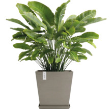Blumentopf Ecopots Rotterdam Kunststoff Ø 42,1 cm 43,6 x 43,6 x 44,4 cm braun