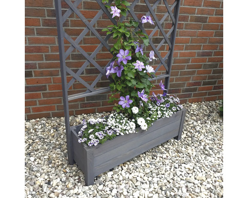 Holzpflanzkasten mit Rankgitter und blühenden Pflanzen