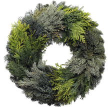 Adventskranz ca. Ø 45 cm Koniferenmixkranz Selection Tellerkranz frisch gebunden, echte Konifere