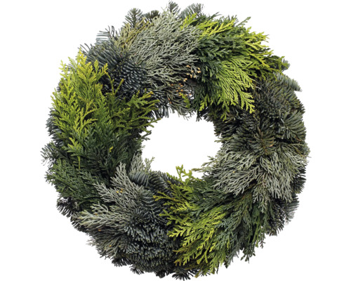 Adventskranz ca. Ø 45 cm Koniferenmixkranz Selection Tellerkranz frisch gebunden, echte Konifere Dekorativer Türkranz aus Tannenzweigen