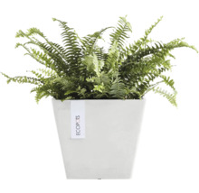 Blumentopf Ecopots Rotterdam Kunststoff Ø 18,3 cm 20,3 x 20,3 x 17,8 cm weiß