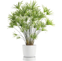 Untersetzer Ecopots Oslo Kunststoff Ø 28,9 cm x 32,2 x 8,5 cm weiß