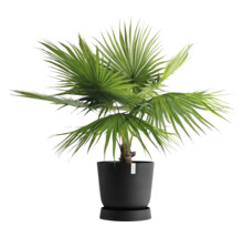 Untersetzer Ecopots Oslo Kunststoff Ø 45,4 cm x 50 x 10,5 cm dunkelgrau