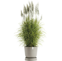 Untersetzer Ecopots Oslo Kunststoff Ø 37,2 cm x 41 x 9,5 cm braun