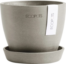 Ecopots Blumentopf aus Kunststoff mit passender Untertasse