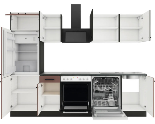 Küchenzeile mit Hängeschränken, Dunstabzugshaube, Kühlschrank, Herd, Spülmaschine und Spüle