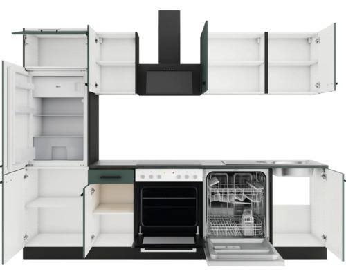 Einbauküche mit Spülmaschine, Kühlschrank, Herd und Dunstabzugshaube