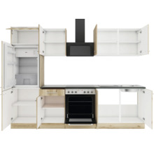 Küchenzeile mit Kühlschrank, Herd, Spüle und Dunstabzugshaube