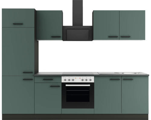 Küchenzeile mit Hängeschränken und Dunstabzugshaube