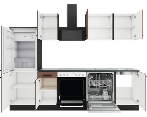 Küchenzeile mit Kühlschrank, Spülmaschine, Herd, Dunstabzugshaube und Schränken