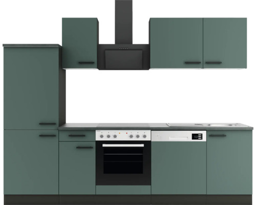 Küchenzeile mit Spüle, Geschirrspüler, Herd und Dunstabzugshaube