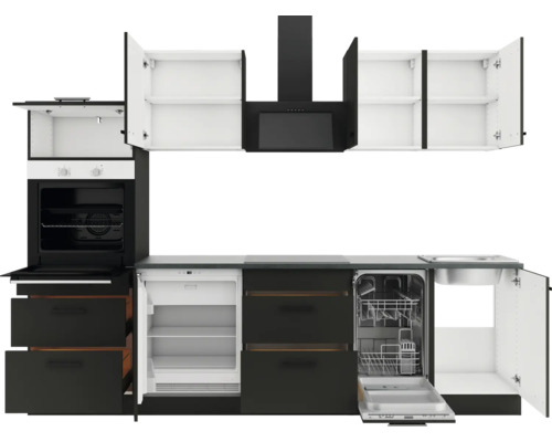 Küchenzeile mit Spüle, Geschirrspüler, Kühlschrank, Backofen, Dunstabzugshaube und Hängeschränken