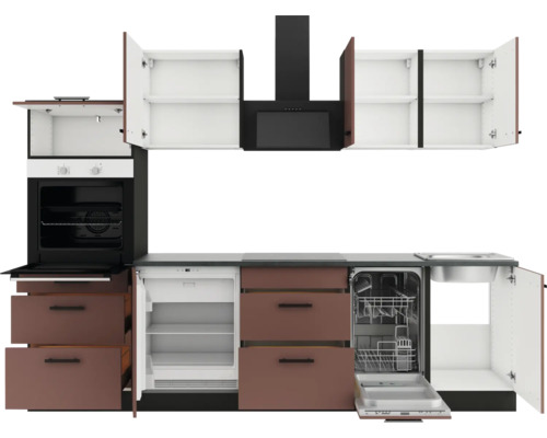 Küchenzeile mit Spüle, Geschirrspüler, Kühlschrank, Backofen, Dunstabzugshaube und Hängeschränken