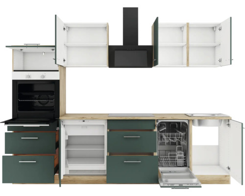 Küchenzeile mit Spülmaschine, Kühlschrank, Herd, Dunstabzugshaube und Hängeschränken