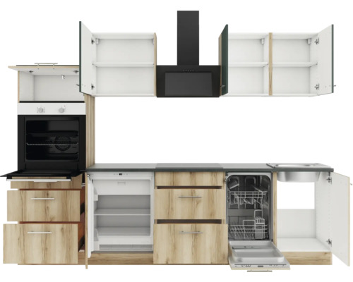 Küchenzeile mit Elektrogeräten wie Backofen, Kühlschrank, Spülmaschine und Dunstabzugshaube.