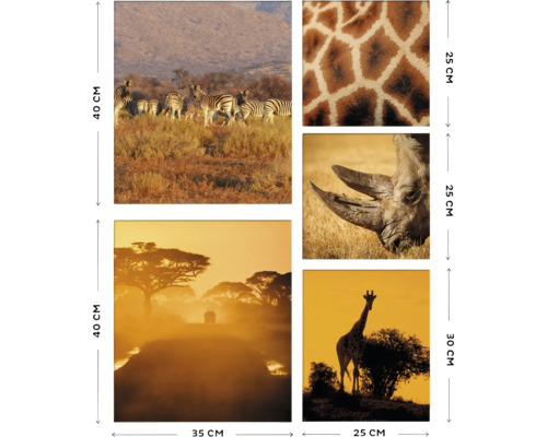 Leinwandbild Safari 5er-Set 60x80 cm