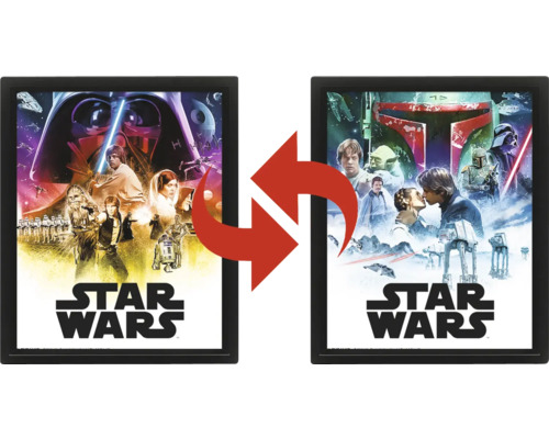 Star Wars Wendebild im Rahmen mit Szenen der Star Wars Saga