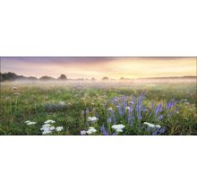 Morgenlandschaft mit Blumenwiese und Nebel