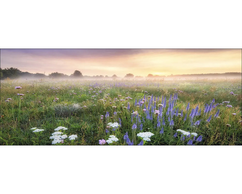 Morgenlandschaft mit Blumenwiese und Nebel