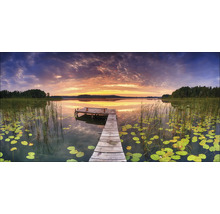 Holzsteg an einem See mit Seerosen bei Sonnenuntergang