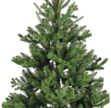 Detailansicht eines Weihnachtsbaums