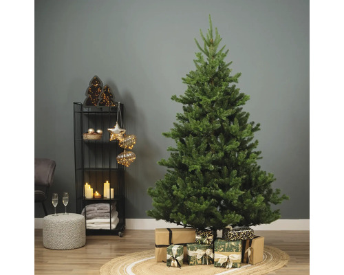 Dekorierter Weihnachtsbaum mit Geschenken auf einem Teppich im Raum.