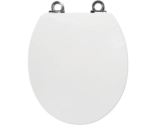 Toilettendeckel aus Kunststoff mit Metallhalterung