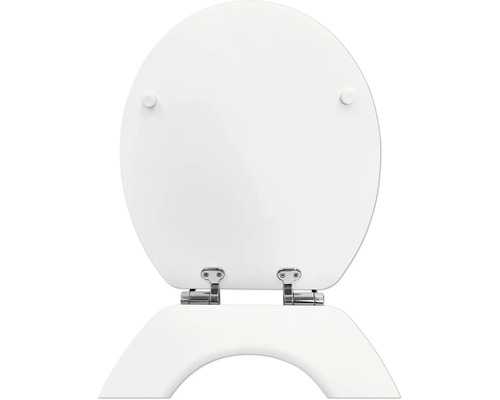 Toilettendeckel aus Kunststoff mit Befestigung