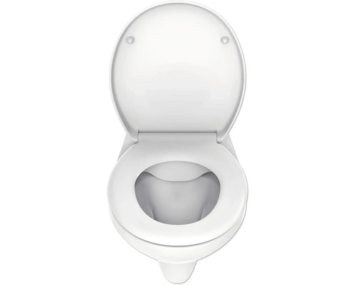 Toilette mit geöffnetem Toilettendeckel