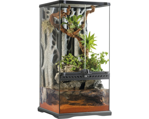 Terrarium, Paludarium Exo Terra small X-tall, 30 x 30 x 60 cm, Glas, Kunststoff Terrarium mit Rückwand und Bepflanzung