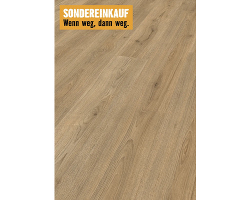 Laminat Trend Eiche braun Basic Landhausdiele 1376 x 193 x 6 mm Nahaufnahme von Laminatboden mit Holzmaserung