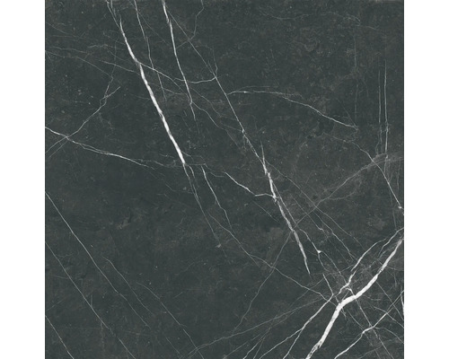 Steinzeug Wand- und Bodenfliese Davos black 60 x 60 x 0,9 cm glänzend