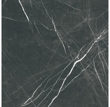 Steinzeug Wand- und Bodenfliese Davos black 60 x 60 x 0,9 cm glänzend