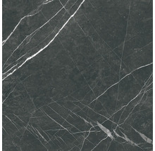 Steinzeug Wand- und Bodenfliese Davos black 60 x 60 x 0,9 cm glänzend