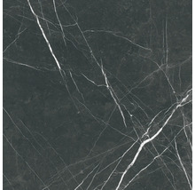 Steinzeug Wand- und Bodenfliese Davos black 60 x 60 x 0,9 cm glänzend