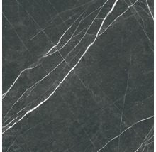 Steinzeug Wand- und Bodenfliese Davos black 60 x 60 x 0,9 cm glänzend