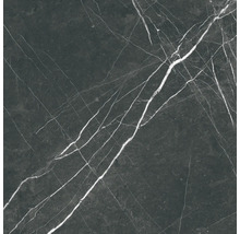 Steinzeug Wand- und Bodenfliese Davos black 60 x 60 x 0,9 cm glänzend