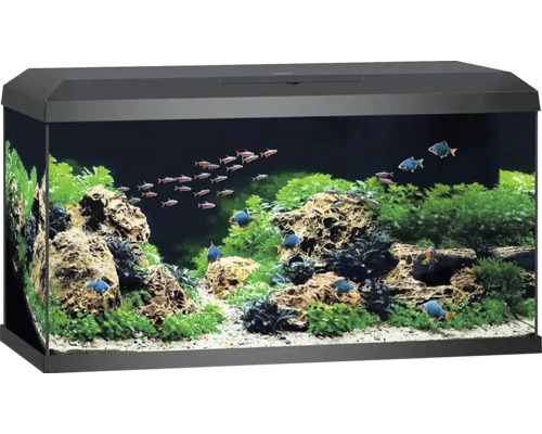 Juwel Aquarium inkl. Abdeckung Beleuchtung Filtersystem inklusive Umwälzpumpe Innenfilter Heizer/Heizstab 81 x 36 x 43,5 cm, ca. 110 l