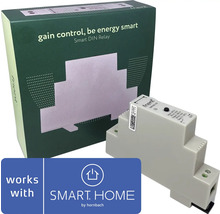 Smart DIN Relais von Friend mit Verpackung und Smart Home by Hornbach Logo