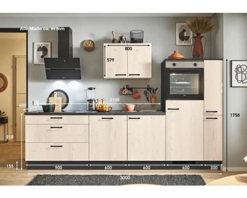 Komplette Küche mit Hängeschrank, Dunstabzugshaube und Einbaubackofen