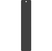 REIKA Montageplatte Ovaro für Magnetaccessoires 250 x 50 mm schwarz matt