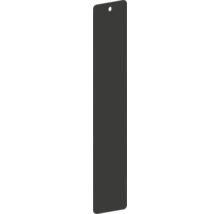 REIKA Montageplatte Ovaro für Magnetaccessoires 250 x 50 mm schwarz matt