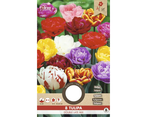 Blumenzwiebel Tulpe ' Double Late selected mix ' 8 Stück